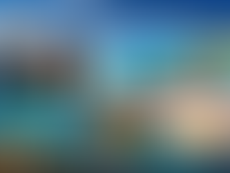 Luxury concierge in Barbados offering VIP airport fast track, private chauffeur transfers, catamaran cruises, and luxury villa experiences.