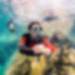 Rafa as a guide underwater