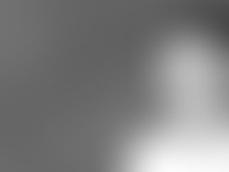 Howard Gardner: Multiple Intelligenzen und individuelle Lernwege