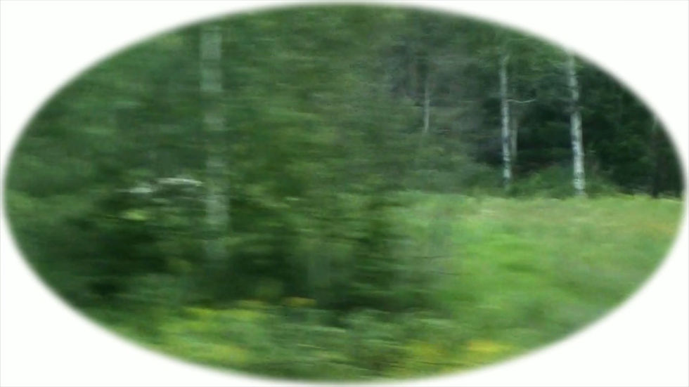 clip_la_extraña_durmiente_del_bosque_v1 (1080p).mp4