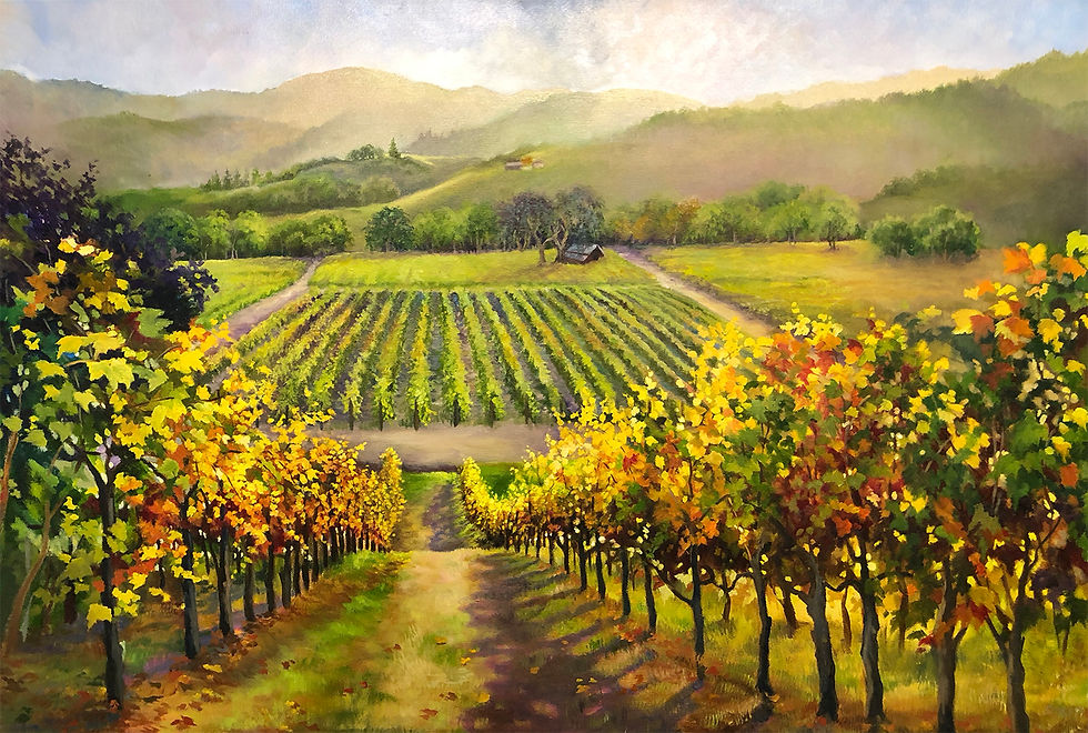 Napa Vineyard