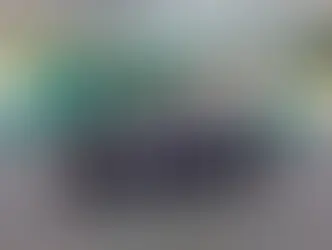 Les Gardiens de la Terre au Mexique !