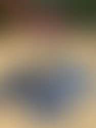 ÉCOLE SOLIDAIRE — GARDIENS DE LA TERRE