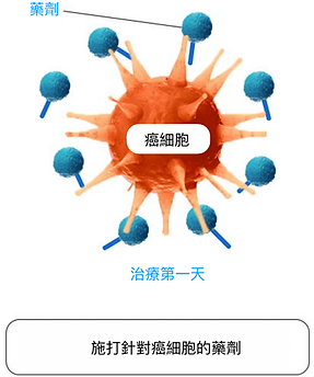 截圖 2019-11-27 16.03.51.png