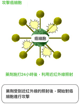 截圖 2019-11-27 16.22.01.png