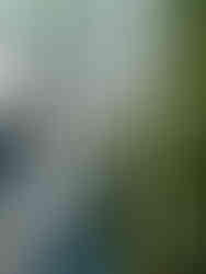 29  |  AALTO PAVILION