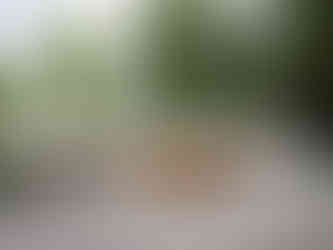 01 | NORDIC PAVILION 2025