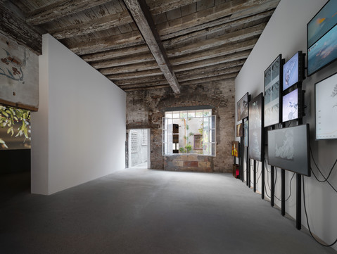 04 | ICELANDIC PAVILION 2025