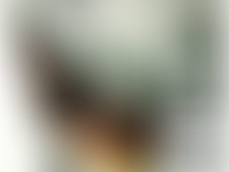 Lire la nature : Festival littéraire ce samedi et dimanche au musée de la Chasse et de la Nature