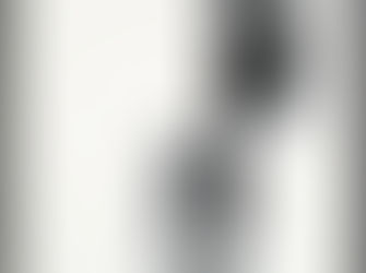 Sissi Farassat : Revelation (Exposition du 12 février au 21 mars )