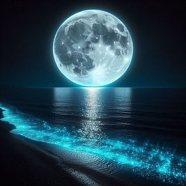 Full Moon Gong Bath Singleton