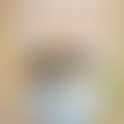 A History of Mohan Singh Sitars