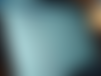 Understanding Expert Help with the MIHAK System