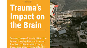 Trauma & Its Impacts On The Brain