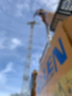 WHY ALLEN CRANES.jpeg