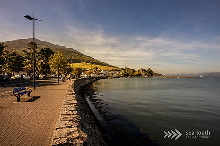 Carlingford (12).JPG