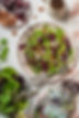 coolie_farm_web (2 of 20).jpg