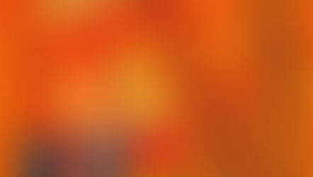 DFC Magazine | Issue 13 | Vitesse Arnhem