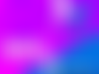 Wix vs Wordpress and why ZOMA recommend Wix