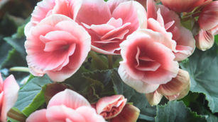 Open your sacred womb to receive!