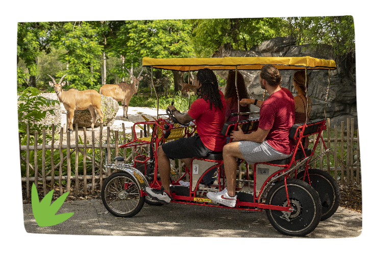 Thumbnail: 2 Miami Zoo Passes