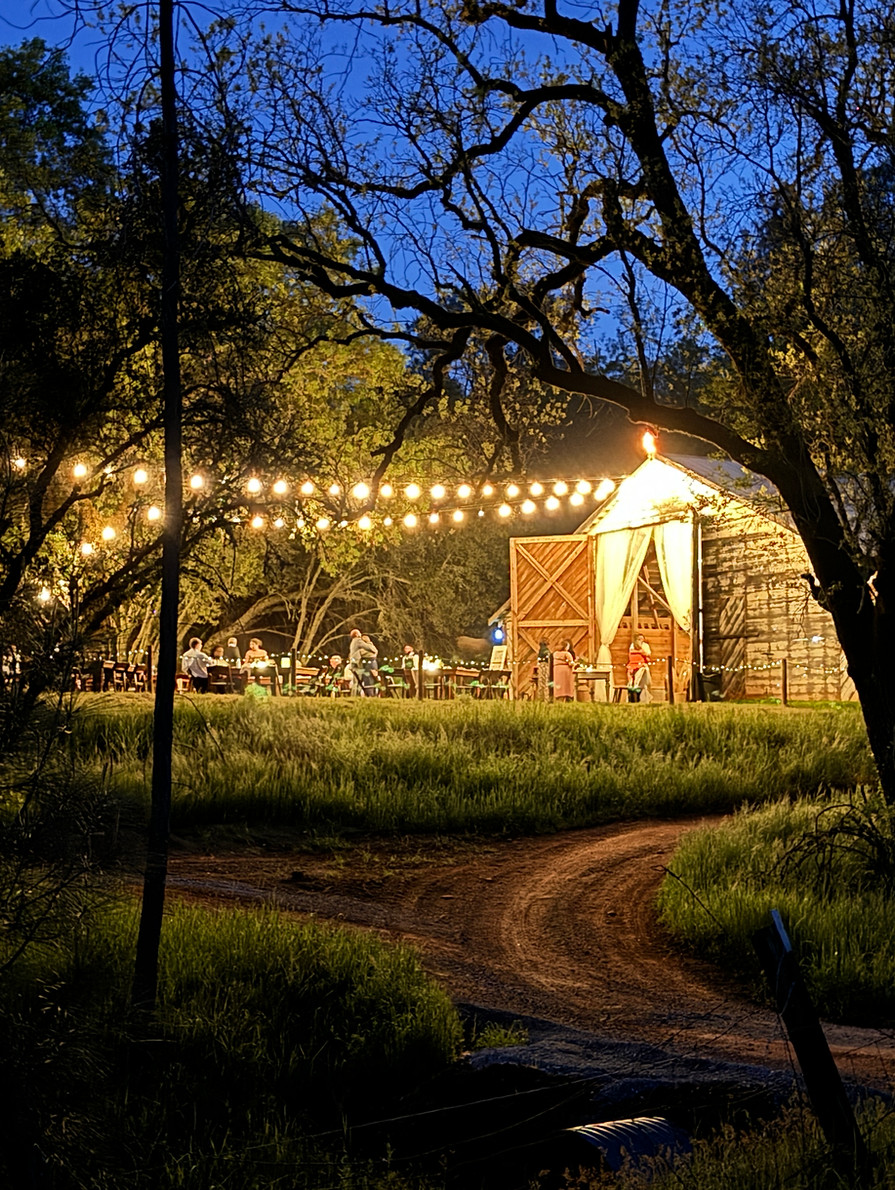 Barn Night From Access Road.JPG