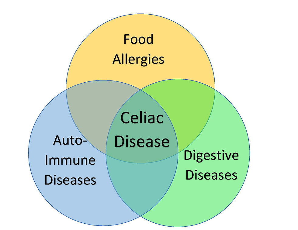 Celiac Disease Sits at the Intersection of Food Allergies, Auto-Immune Diseases & Digestive Diseases