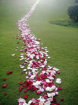 chemin de roses.jpg