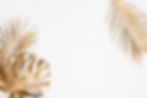 Gold Leaves.jpeg