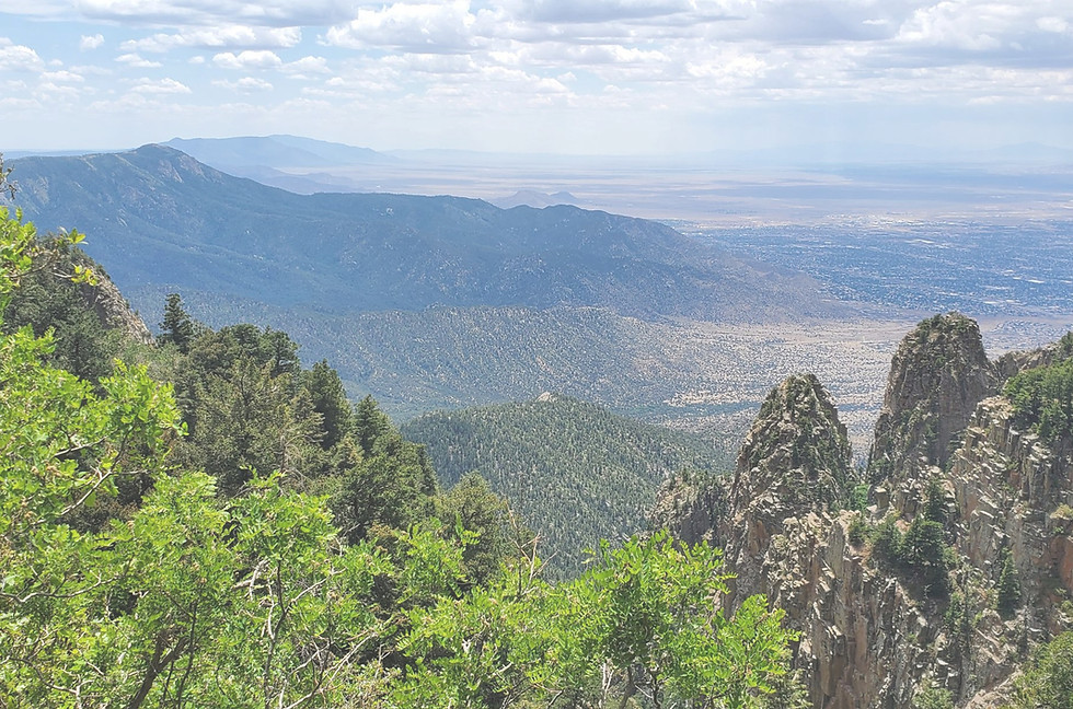 Cibola Forest_edited.jpg