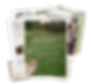 Free Guide (2).png
