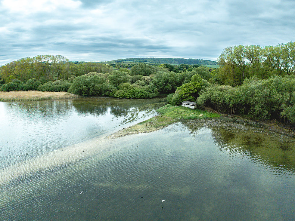 Aerial drone photograph of wetland habitat, trees and open water at Wilstone Reservoir in Hertfordshire
