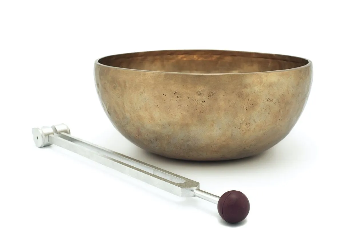 magic-bowls-mg8iH0hFFmo-unsplash+1200w-1920w.webp