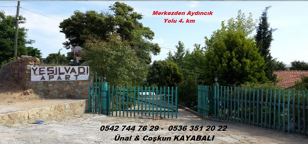 Girişimiz