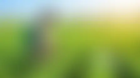 Spray Pump Price in India 2026: Manual vs Battery Sprayer Guide