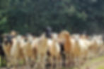 IMG-20250115-WA0047.jpg