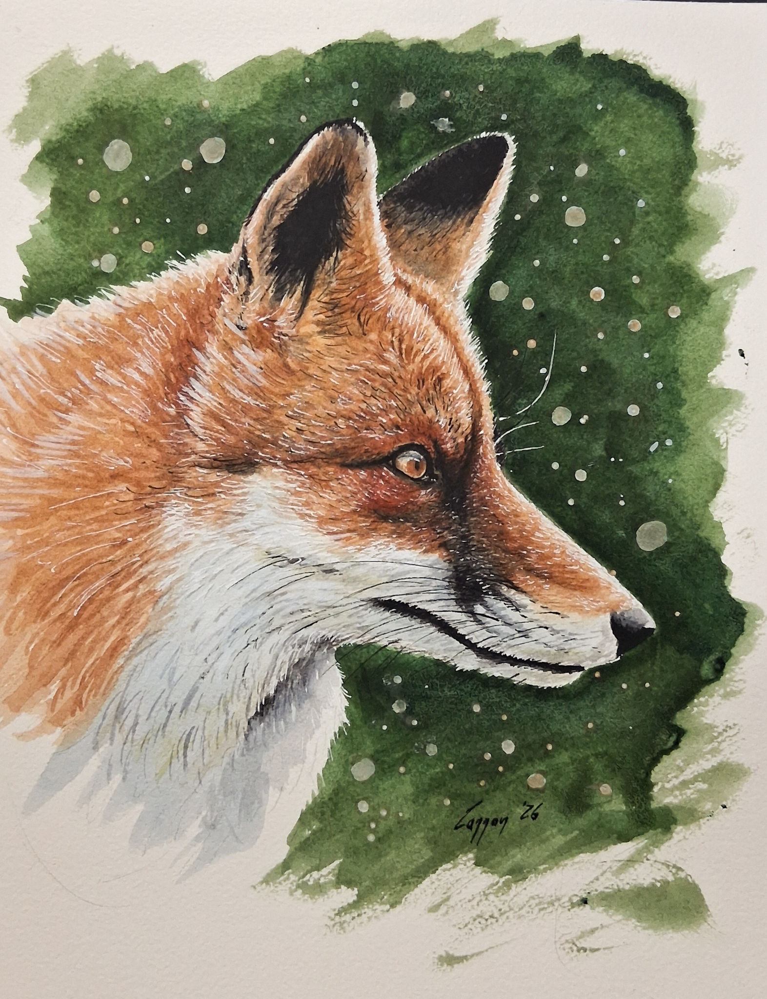 Pixies of a Fox