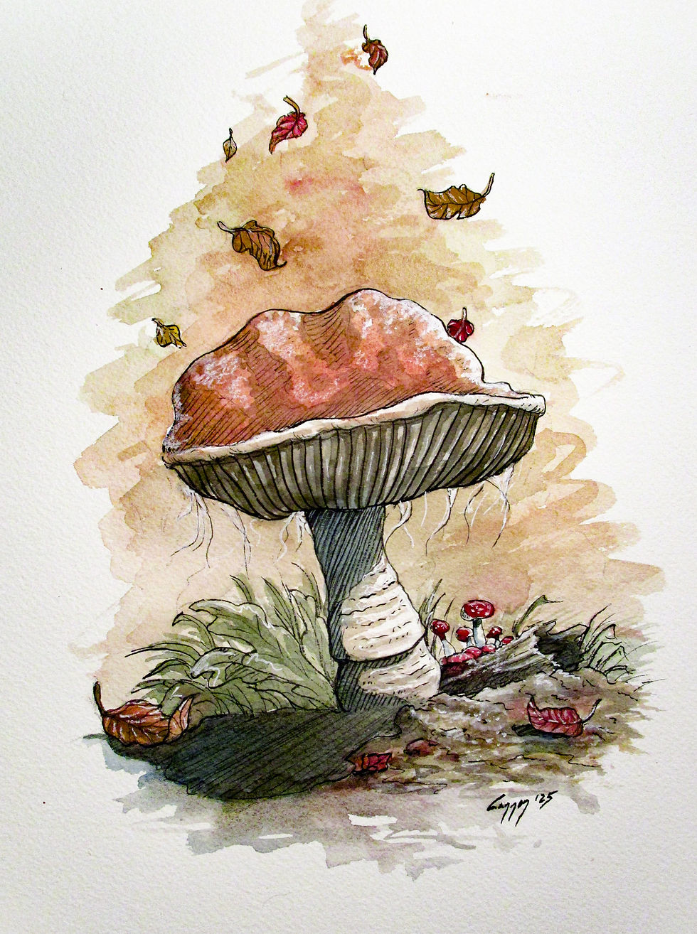 Lactarius Delicisious
