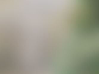 Vánoční svátky na Lesné