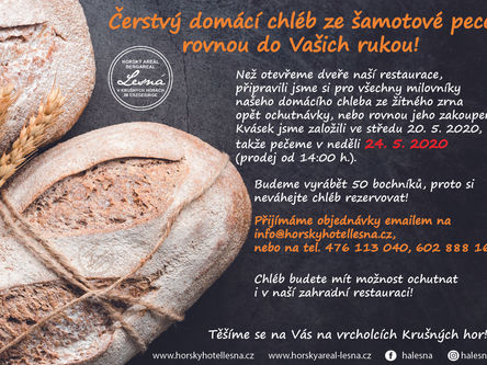 V neděli opět náš chléb!