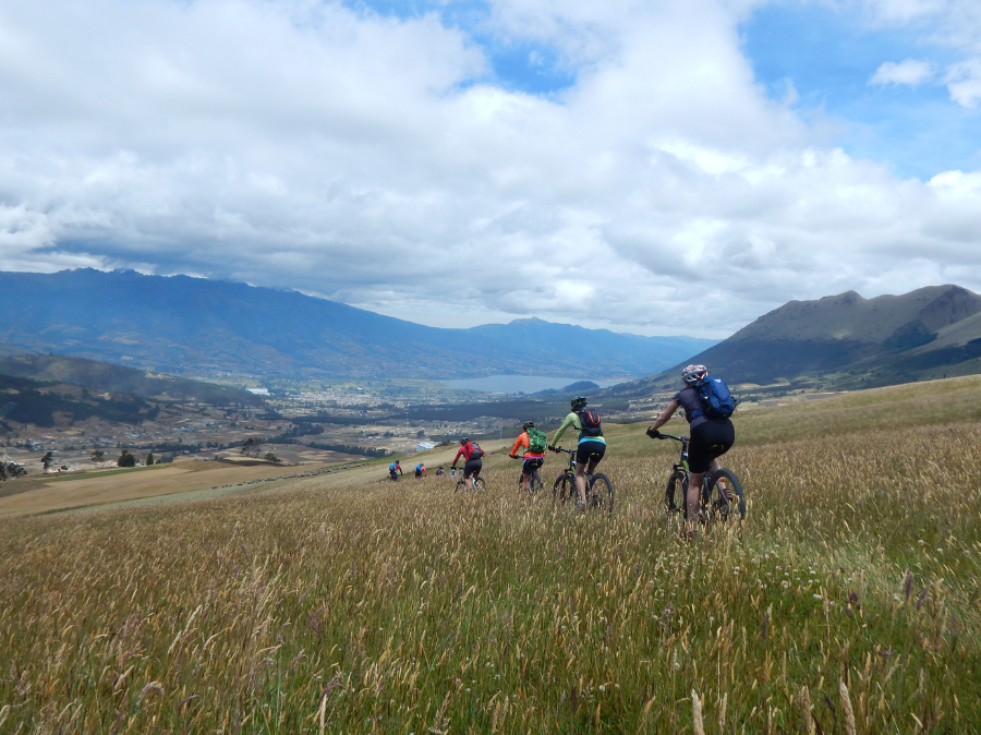 Art in Latin America