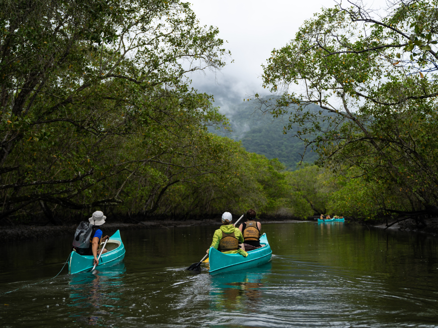 Adventures in Latin America