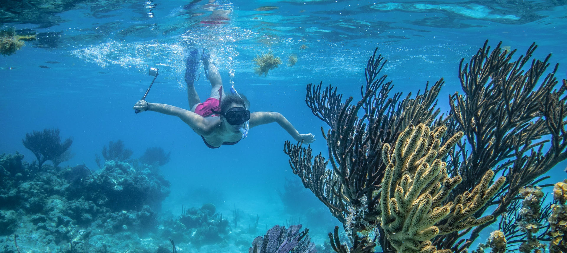 IE_Glovers_Snorkeling-81_edited.jpg
