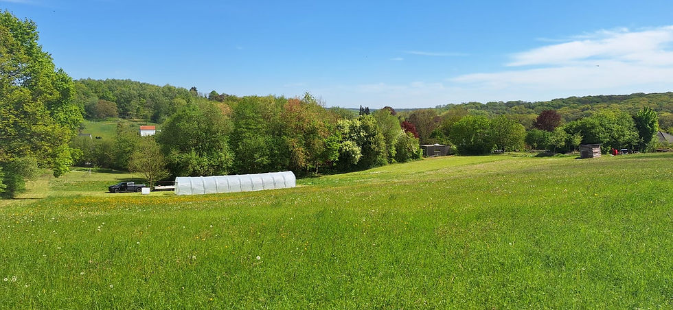 Serre Moestuin Mats