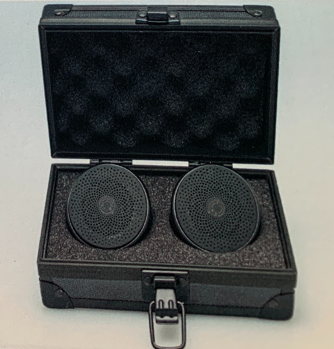 DJ Reggie Wells Quality Sounds + BLACK Wireless Speakers w/Carrying Box