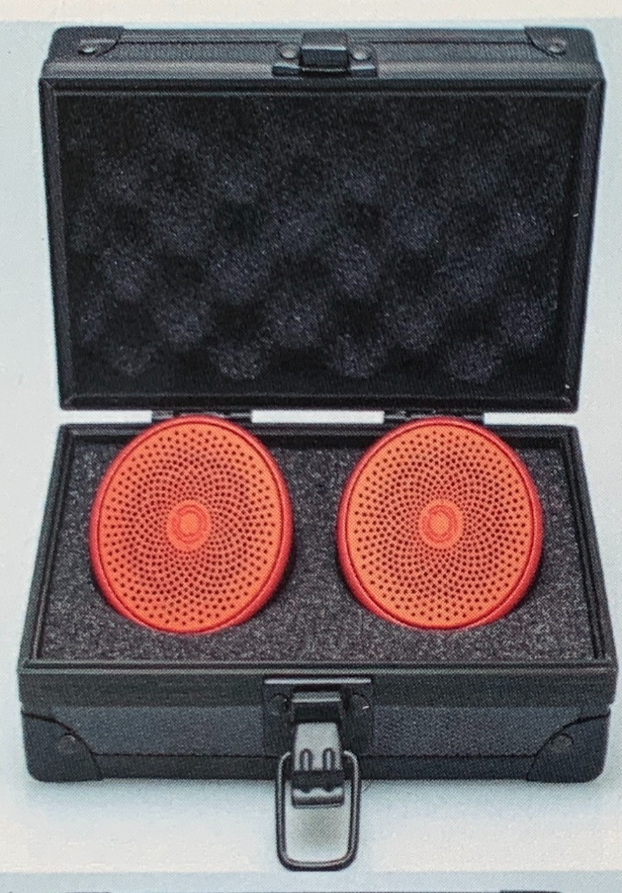 DJ Reggie Wells Quality Sounds + RED Wireless Speakers w/Carrying Box