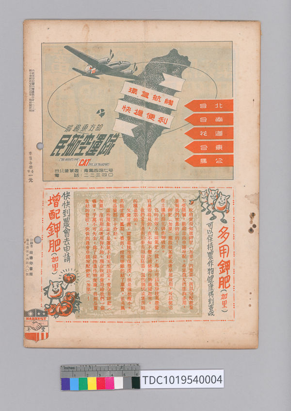 TDC1019540004_02