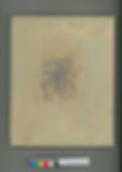 TDC0618950010_02