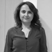 Yazarın fotoğrafı: Prof. Dr. Gülfidan Barış