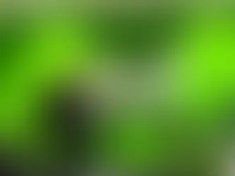 BinBin, Hollandalı Go Sharing’i satın aldı